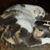 Sue Henson Perron's profile image