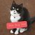 Donna Cunha Demello's profile image