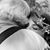 Becca Archambault's profile image