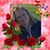 Megan K Pearson's profile image
