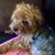 Sutton Kayden Sandy's profile image