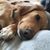 Mandy Hoadley's profile image