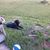 Pat Hoppe's profile image