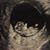 Jeanne Sullivan Bates's profile image