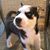 Leisa Sims's profile image