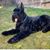 Candy Ranson's profile image