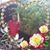 Francia Hilario's profile image