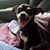 Teresa Bridges's profile image
