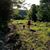 Kathy Kennedy Saffo's profile image