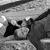 Laurie Mello's profile image