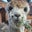 Erica Kaye's profile image