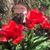 Michelle Smith's profile image