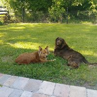 Cindy Bowden's profile image