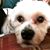 Peggy Vivenzio's profile image