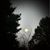 Ashley M. Shipley's profile image