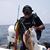 Rex Baria's profile image