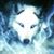 Sue Day's profile image