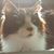Dorothy Davis's profile image