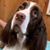 Geri Marandola's profile image