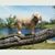 Derrel Sampson's profile image