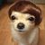 Jordan Hansen's profile image