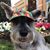 YiYi Lam Johnson's profile image