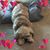 Marcie Tamura Douan's profile image