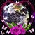 Palma M Schloer's profile image