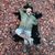 Craig Caudill's profile image