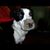Kilian Nimoy's profile image