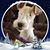 Claudia Losiniecki Green's profile image