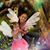 Migdalia Morales Dejesus's profile image