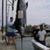 Martha La Marre's profile image