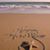 Kimberly Stephens's profile image