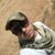 Hamed Abbasi's profile image