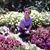 Mildred Dagdag Soriano's profile image