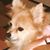 Sandy Isbell Bean's profile image