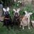 Lewis E Winningham III's profile image