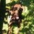 Kelly Nelson's profile image