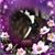 Susan McAlpine's profile image