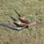 Parke Atkinson's profile image