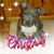 Toni Phillips's profile image