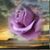 Carmen Concepcion's profile image