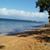Evelyn Bailey Stivers's profile image