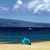 Susan Knifong Jones's profile image