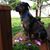 Barb Bennett's profile image