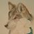 James Noble's profile image