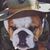Jon Bailey's profile image
