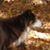 Judy Mathias's profile image