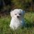 Loretta Barbour's profile image